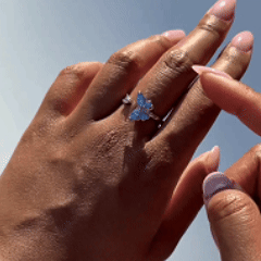 BUTTERFLY SPINNER RING