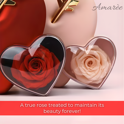 Cupid Heart Eternal Love