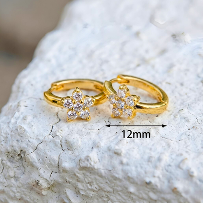 Star Huggie Earrings